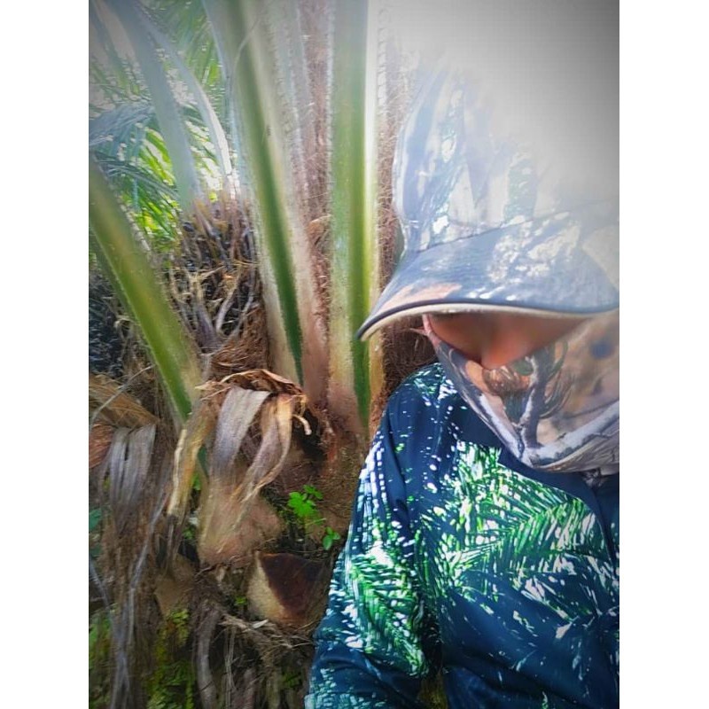 Ngụy trang / baju berburu / memikat ayam hutan t áo sơ mi nam nữ trẻ em thường ngắn tay áo tee áo in 3d