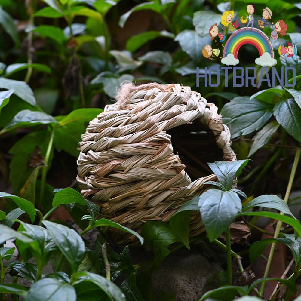 Tổ Chim Bằng Cỏ Tự Nhiên Dùng Trang Trí