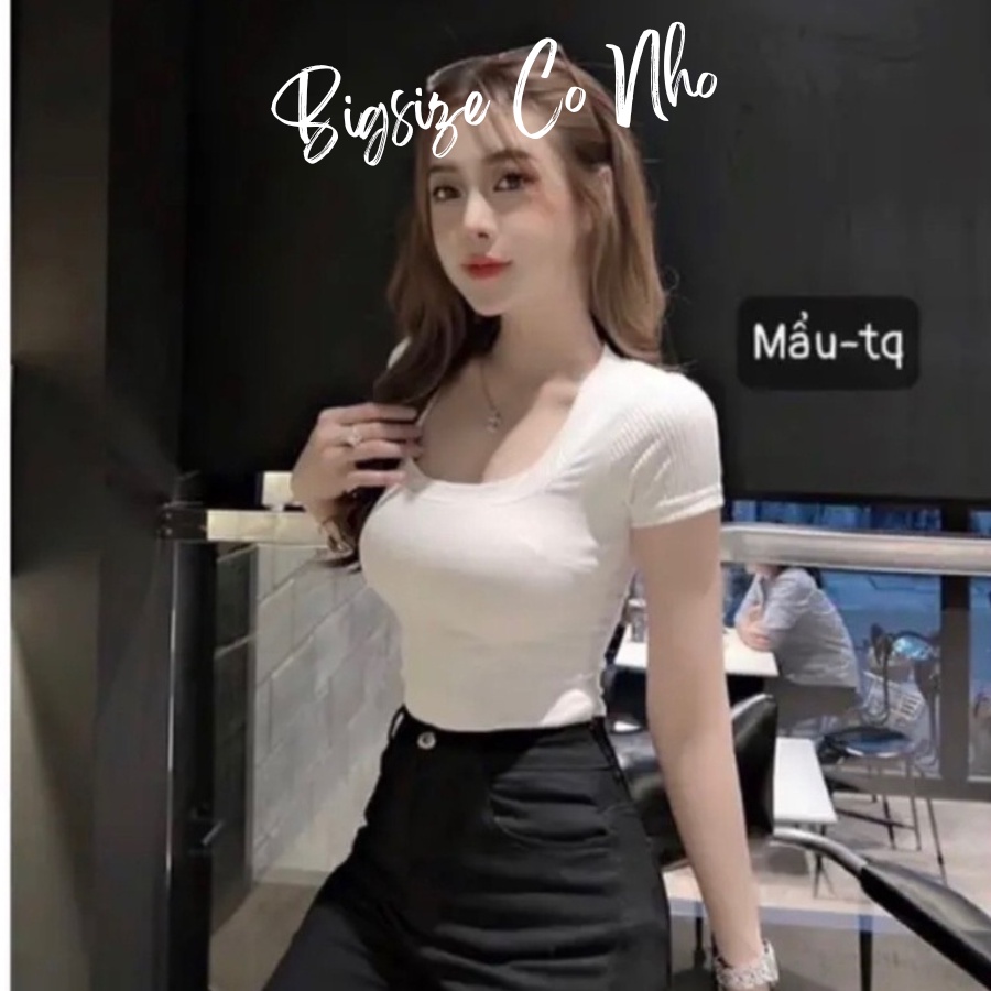 [Mã Icbfri15 Giảm 10% Đơn 0Đ] Áo Thun Bigsize Cô Nhỏ Cổ U Tôn Vòng 1 Chất Thun Gân Tăm Co Dãn Tay Ngắn G65