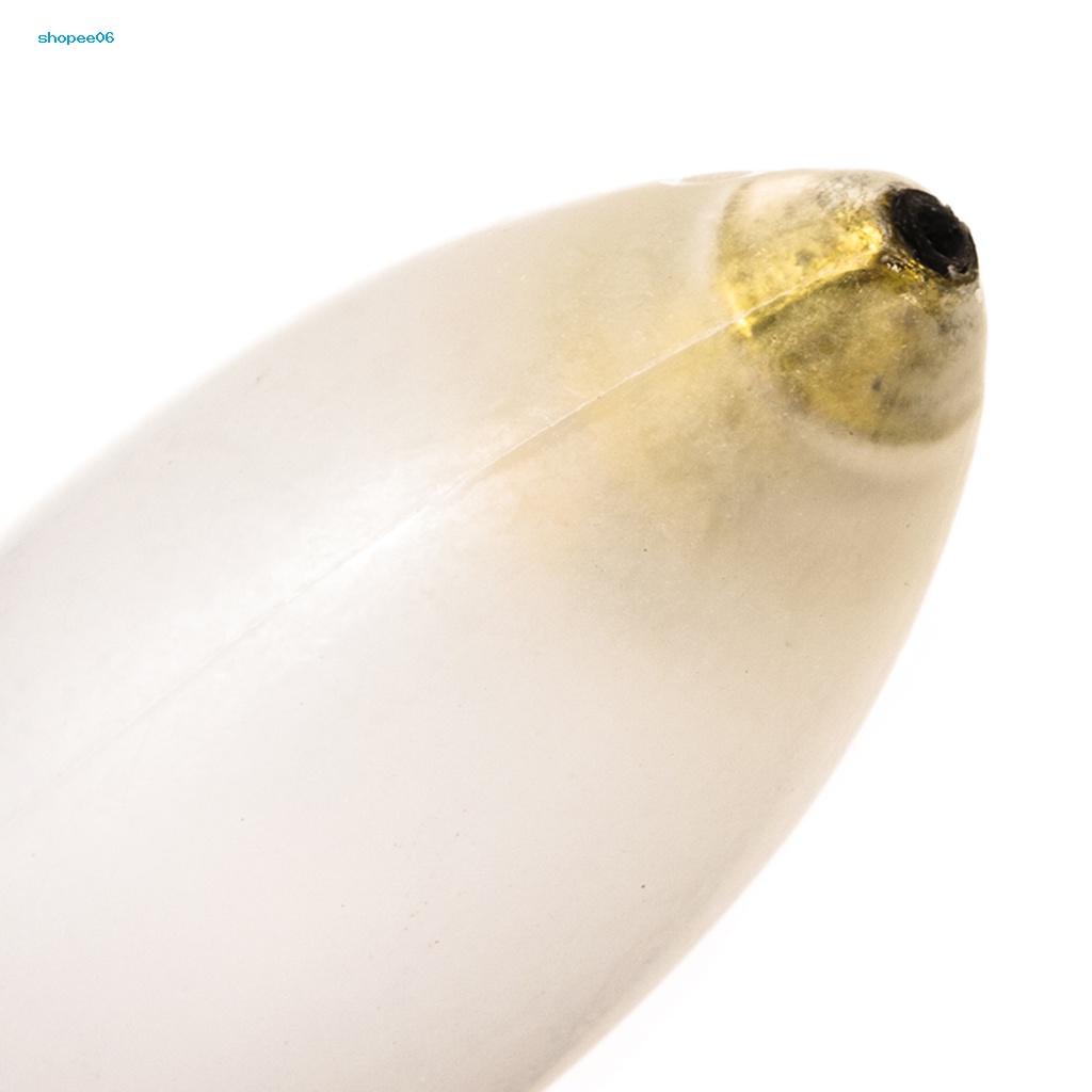 Phao Nổi Câu Cá Bằng Acrylic Dễ Sử Dụng Tiện Lợi