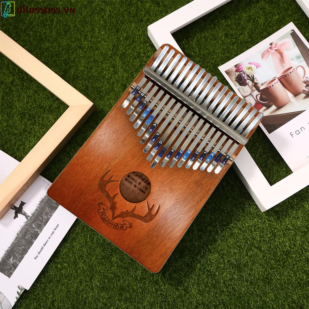 Set 2 Sticker Dán Đàn Kalimba