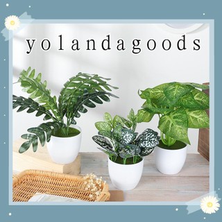 Chậu Hoa Giả Để Bàn Trang Trí Nhà Cửa/ Văn Phòng/ Ban Công