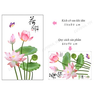 Decal dán tường Combo Hoa sen hồng cá chép