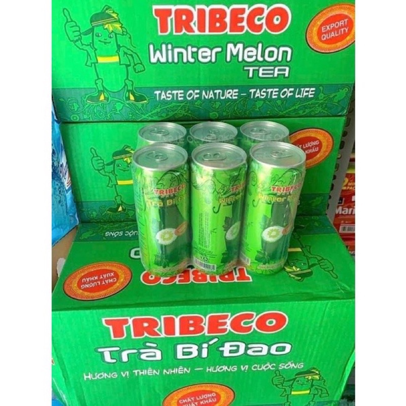 Trà bí đao tribeco Thùng 24 lon x 320ml