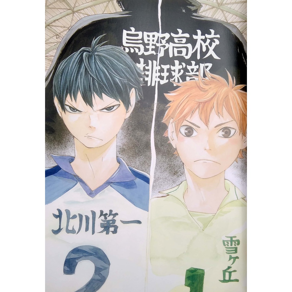 Haikyu !! Complete Illustration Book