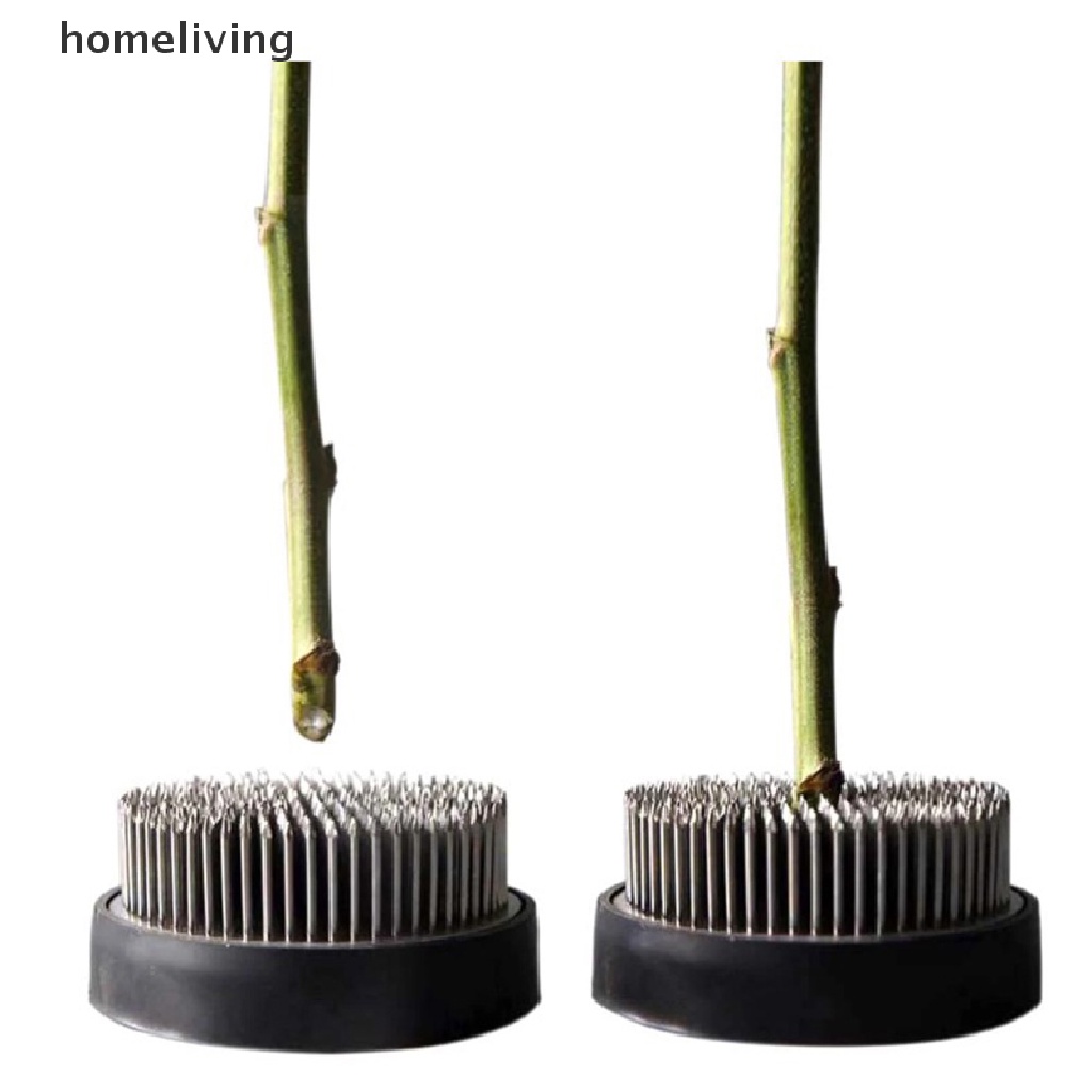 Homeliving Giá Đỡ Kim kenzans Nhật Bản Bằng Kim Loại Hình Hoa / Ếch Cố Định.