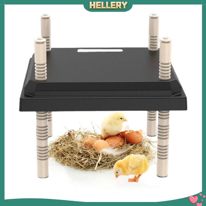 [HelleryVN] Đĩa Sưởi Ấm Chiều Cao Có Thể Điều Chỉnh Cho Gà Con