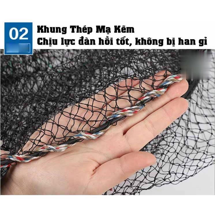 Lồng Lò Xo Bắt Cua, Ếch, Rùa, Ba Ba, Nhái