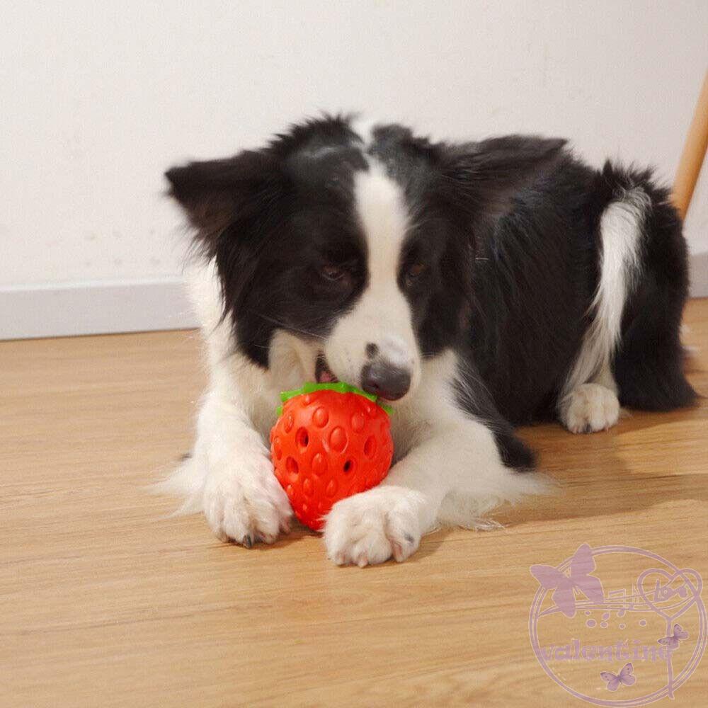 Hộp Đồ Chơi Bằng Cao Su Ẩn Răng Dành Cho Thú Cưng