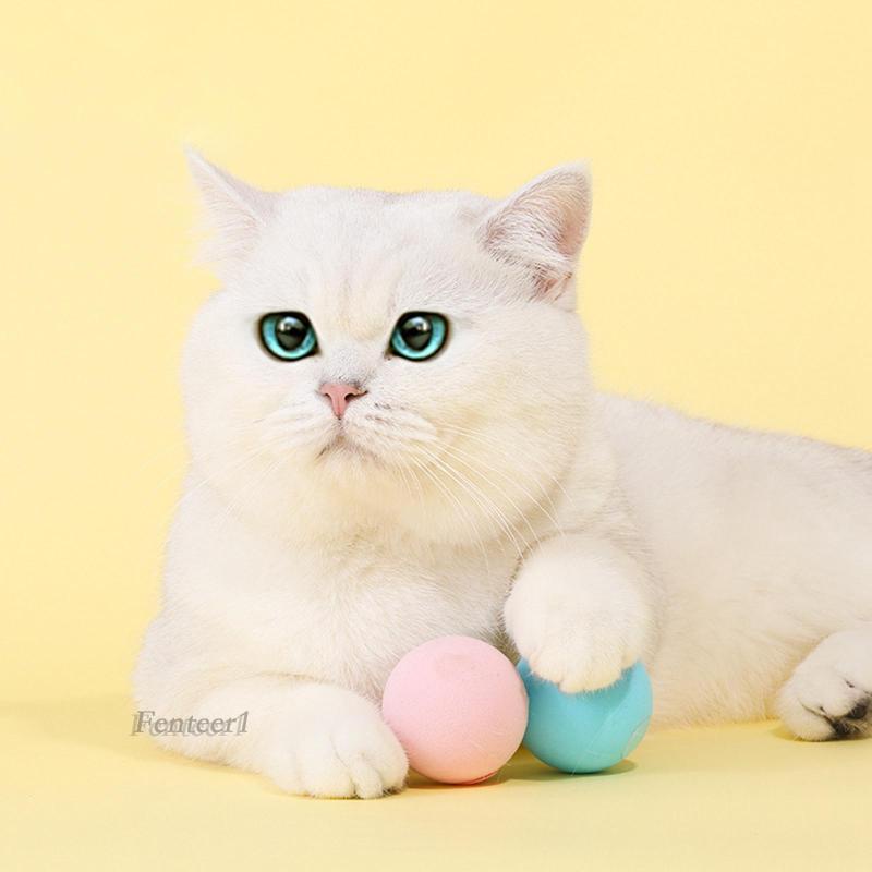 Set 1 / 3 Quả Bóng Đồ Chơi Tập Tương Tác Vui Nhộn Cho Mèo