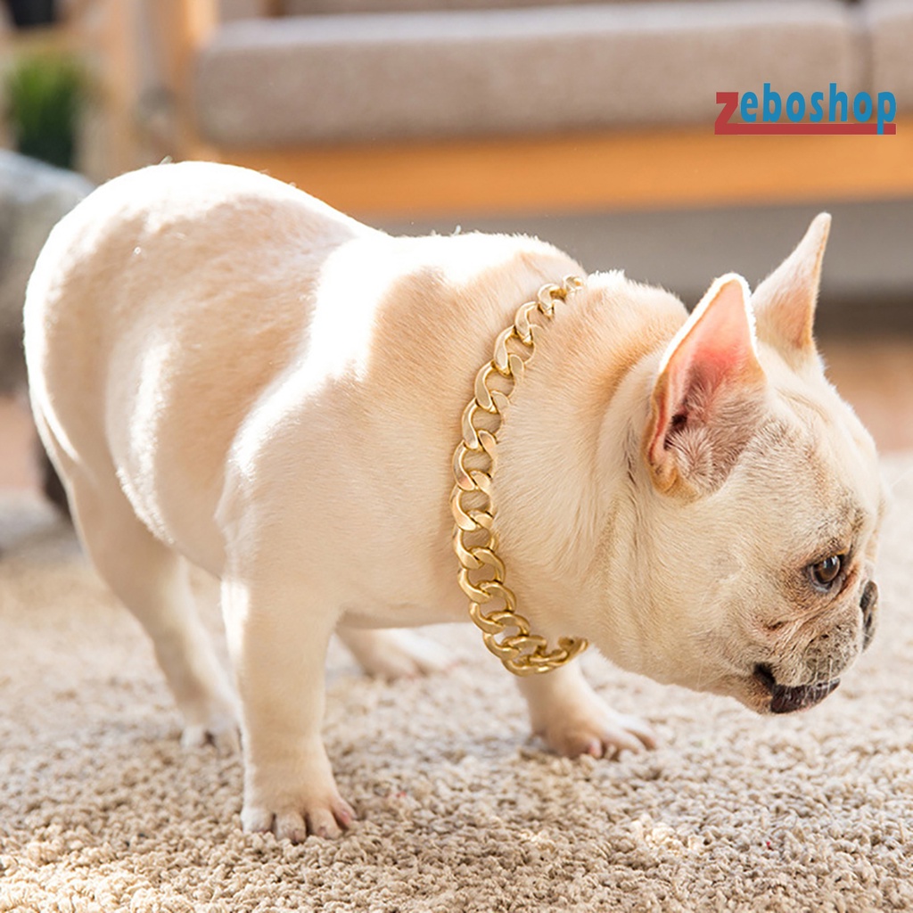 Vòng Cổ Bằng Nhựa Có Thể Điều Chỉnh Dành Cho Chó Pitbull