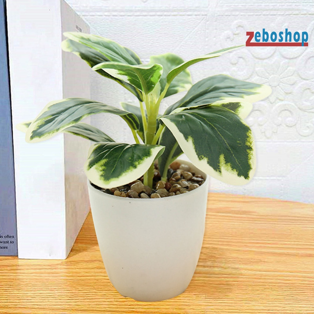 Zeboshop Chậu Cây Nhân Tạo Không Phai Màu Sống Động Lâu Trôi Không Cần Khoan Lỗ Trang Trí Đám Cưới