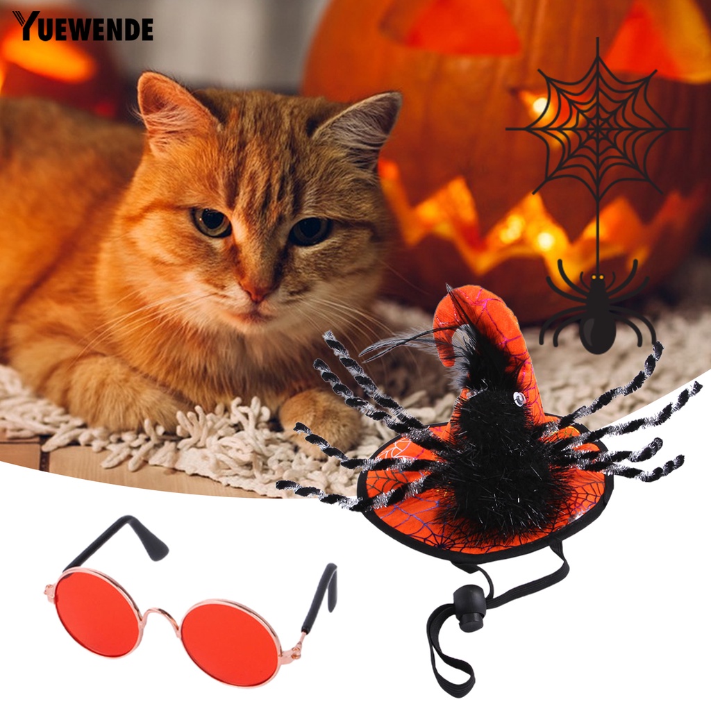 Yq.e 1 Set Băng Đô Cài Đầu Hình Nhện Có Thể Điều Chỉnh Siêu Nhẹ Dễ Sử Dụng Cho Thú Cưng Dịp Halloween
