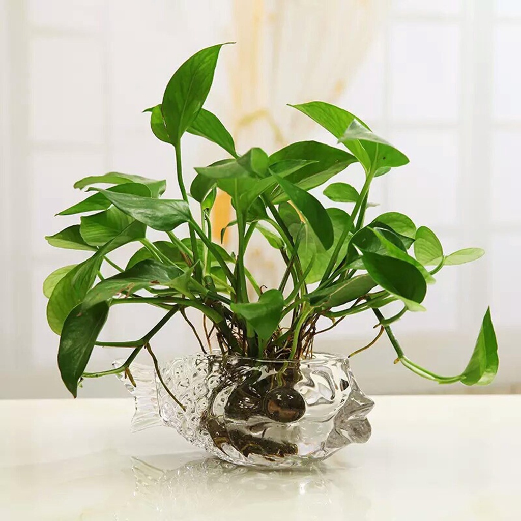 Bình Hoa Thủy Tinh Uống Nước Lạnh Trang Trí Nhà Cửa