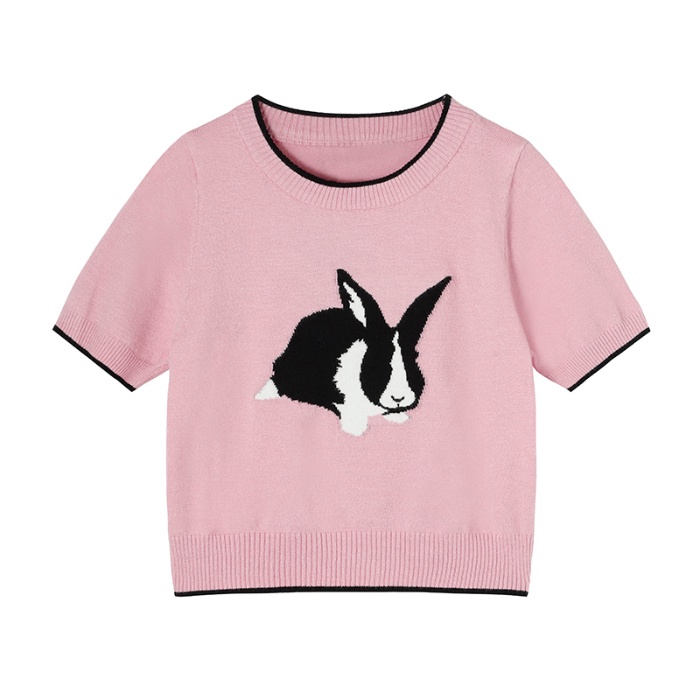 Áo Thun 100% Cotton Tay Ngắn Phong Cách Hàn Quốc Cho Nữ