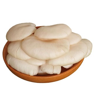Nấm Bào Ngư Trắng Nấm Sò (Khay 200g)