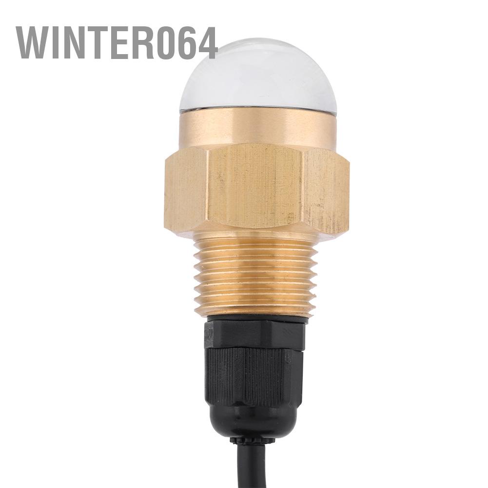 Winter064 Mềm Thuyền 12V Đồng Thủy Tinh LED Xanh Dương Dưới Nước Ánh Sáng Đèn Cống Plug1/2 &quot;NPT Du Phụ Kiện