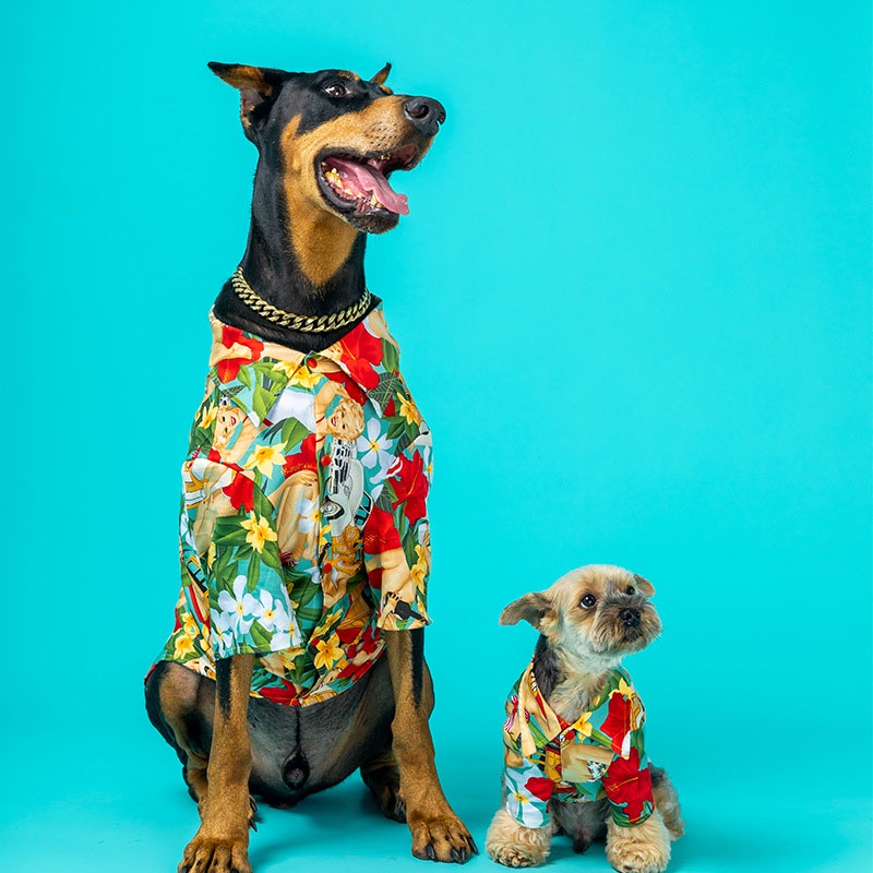 HamshMoc Đầm Mềm Nhẹ Thoáng Khí In Họa Tiết Dễ Thương Siêu Bền Cho Thú Cưng