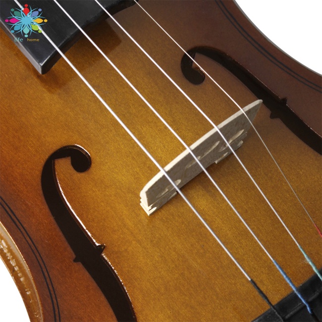 Đàn Violin Bằng Gỗ Trơn Kèm Hộp Đựng Dành Cho Người Mới Bắt Đầu