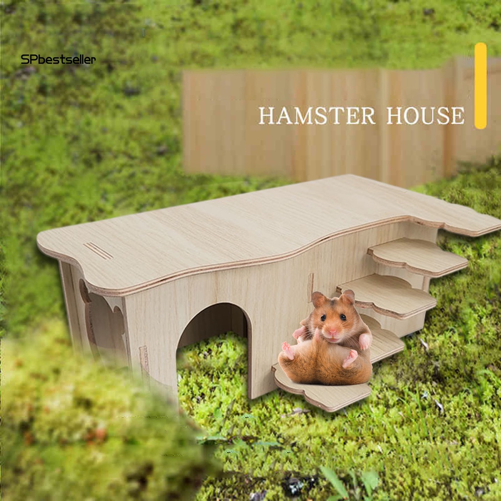 Thang Leo Bằng Gỗ Tự Nhiên Cho Chuột Hamster