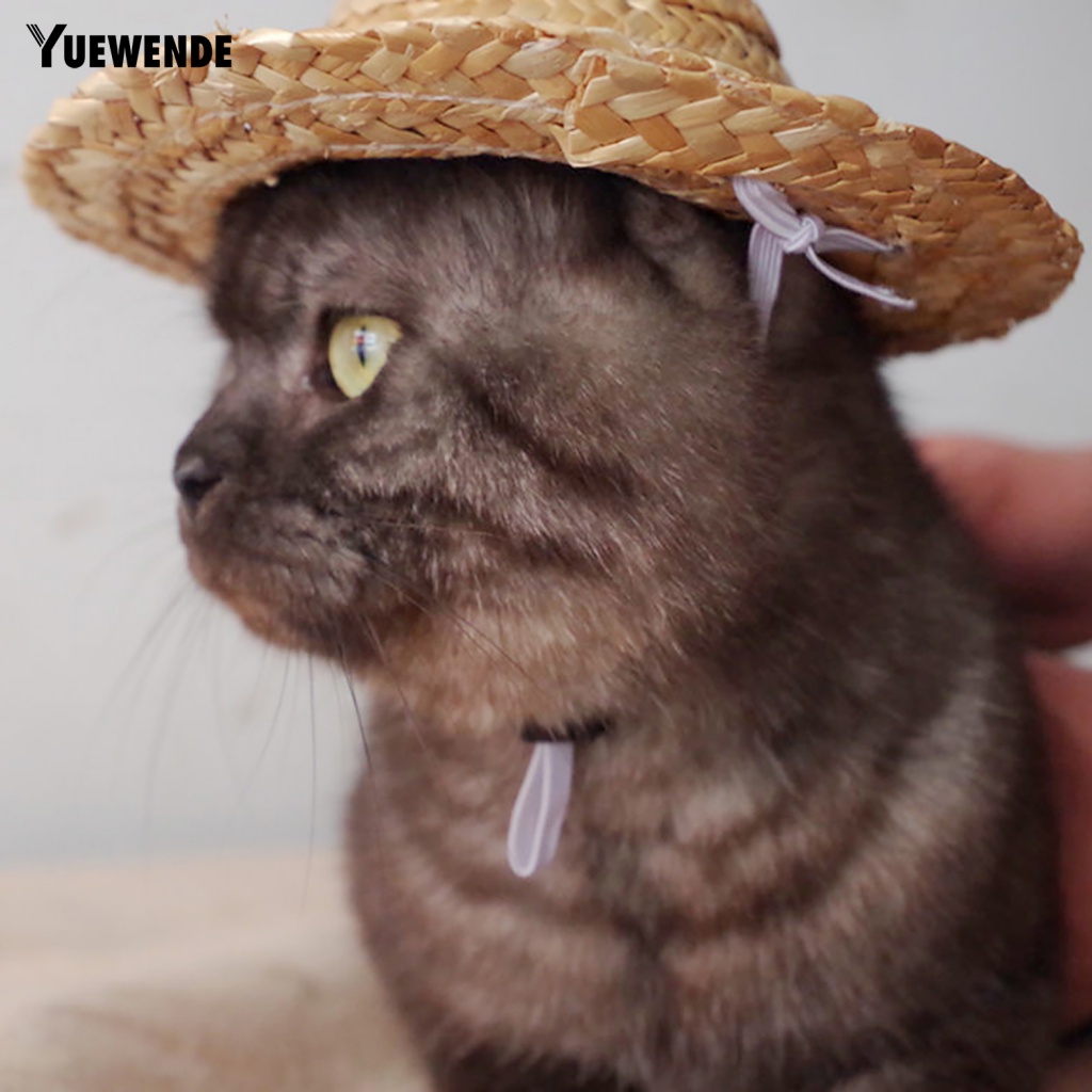 Mũ Rơm Mini Chống Nắng Thoải Mái Mùa Hè Cho Thú Cưng