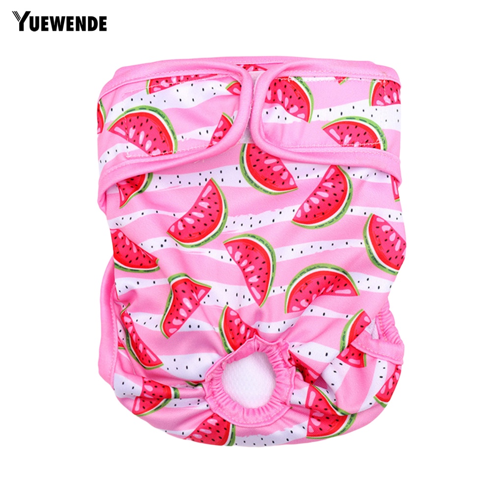 Quần Lót Thấm Hút Tốt In Họa Tiết Trái Cây Dễ Thương Tùy Chỉnh Tiện Dụng Cho Thú Cưng