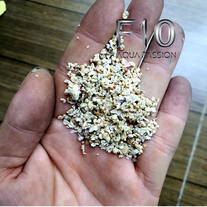 Cát vỏ sò việt nam - Cát trải nền bể nước mặn 1KG -Shop chuyên sỉ phụ kiện thủy sinh