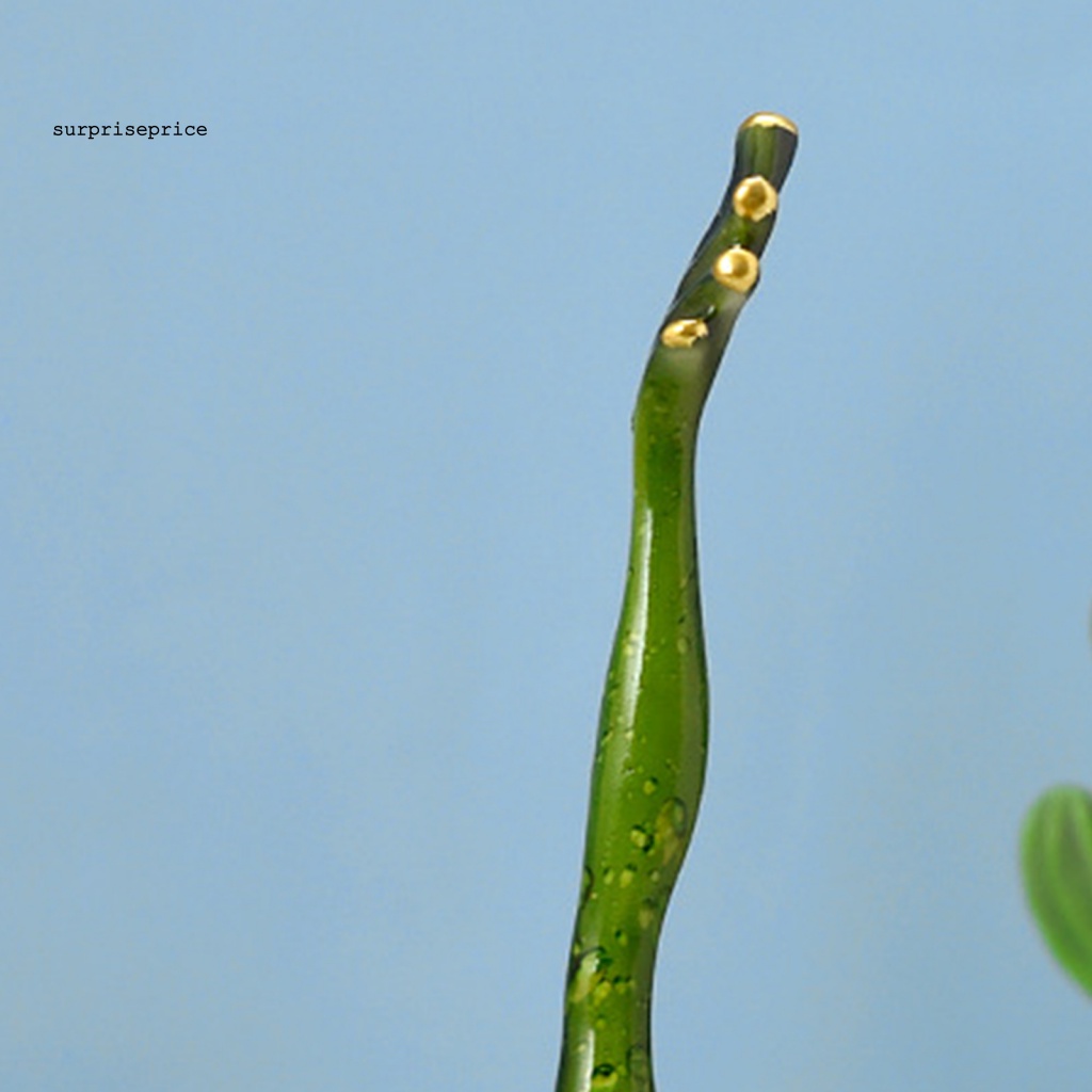 Tượng Ếch Bằng Nhựa Resin Nhiều Màu Sắc Trang Trí Sân Vườn