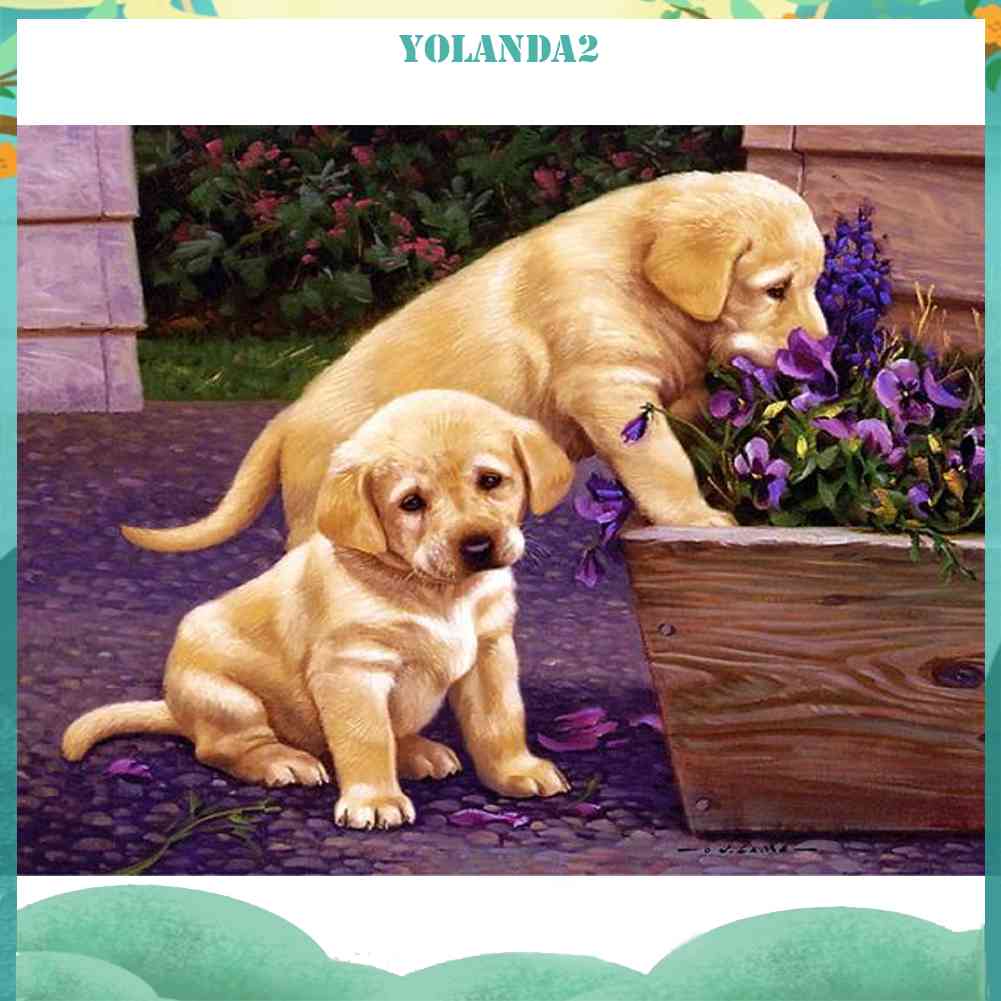 Bộ Tranh Đính Đá Toàn Bộ Họa Tiết Labrador Độc Đáo DIY Dùng Trang Trí Nhà Cửa