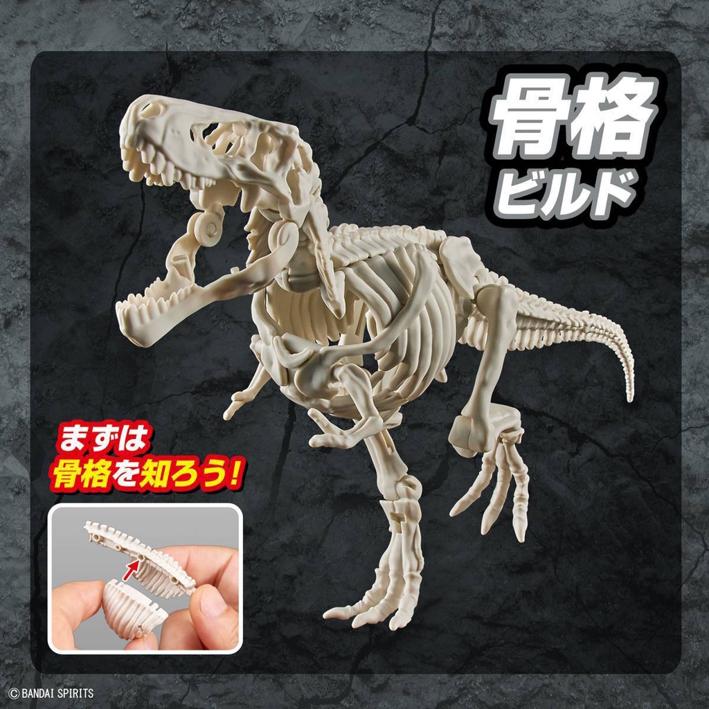 Bandai Mô Hình Lắp Ráp Khủng Long PlannosaurusTyrannosaurus Bằng Nhựa