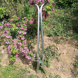 Máy cấy cây giống Thiết bị trồng cây giống dụng cụ cấy cây giống phổ thông mới thiết bị cấy Rau nông nghiệp thủ công