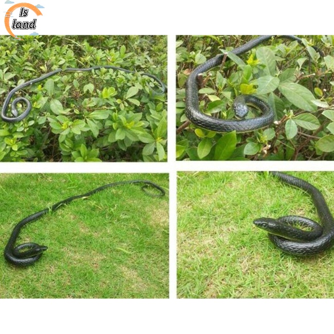 Rắn Cao Su Sống Động Giống Thật Dùng Trang Trí Tiệc Halloween