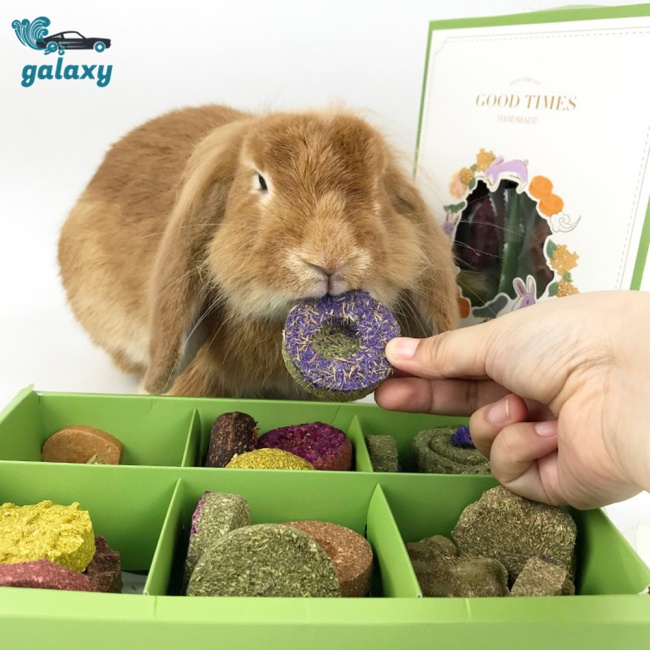 Galaxy Đồ Chơi Nhai Cắn Hình Bánh Kem / Thỏ / Chuột Hamster