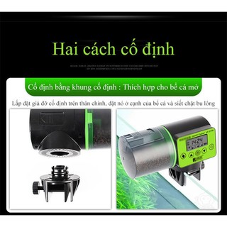 MÁY CHO CÁ ĂN TỰ ĐỘNG - Euro Quality