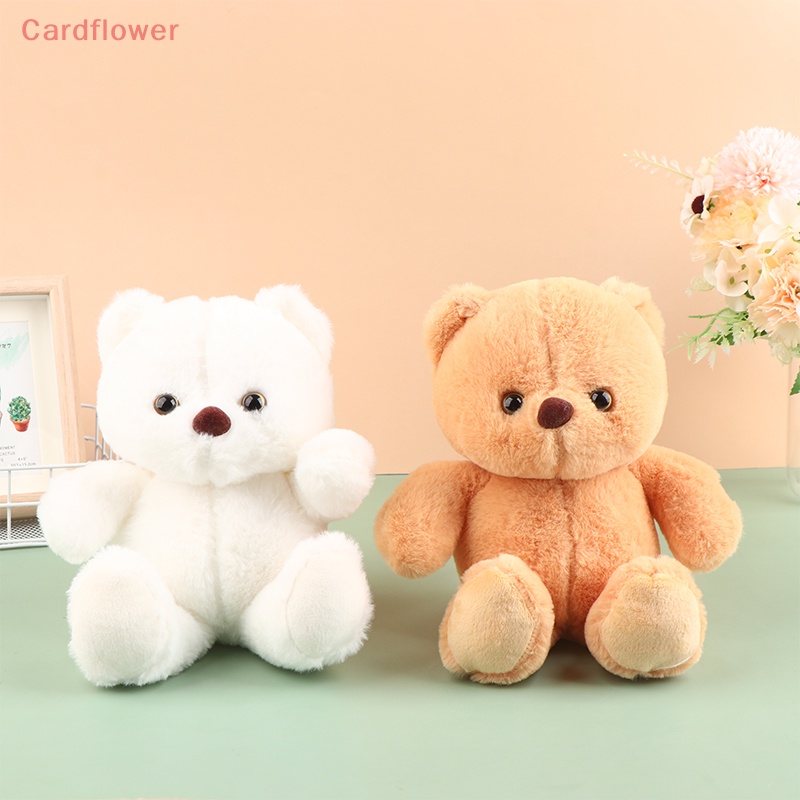 Gấu Nhồi Bông 22CM Đáng Yêu Cho Bé Mới