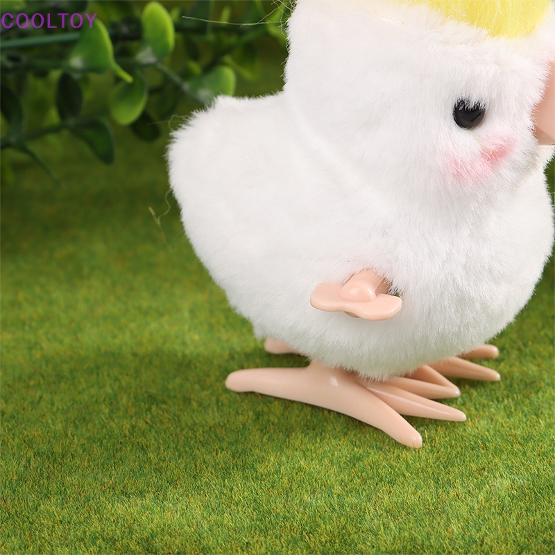 Cooltoy Đồ Chơi Lên Dây Cót Hình Con Vẹt Nhồi Bông Dễ Thương Dành Cho Bé Trai Gái