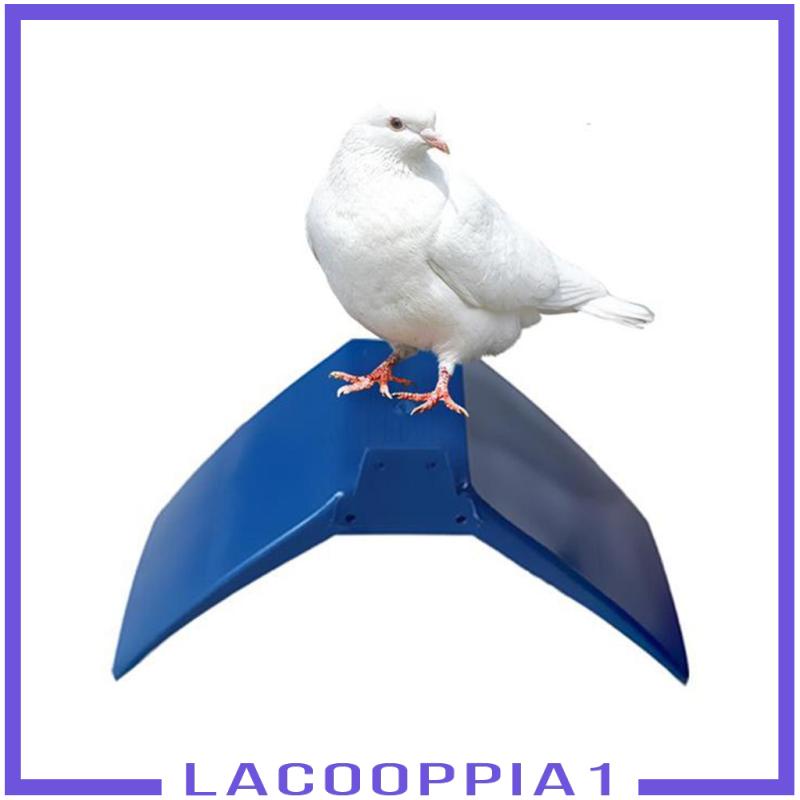 Set 10 Giá Đỡ Đỡ Chim Bồ Câu Trọng Lượng Nhẹ Tiện Dụng Cho Chim Bồ Câu / Bồ Câu 1