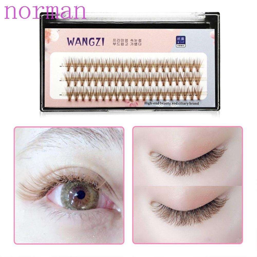 Lông Mi Giả Nâu NORMAN Mềm Mại Tự Nhiên Dùng Trang Điểm