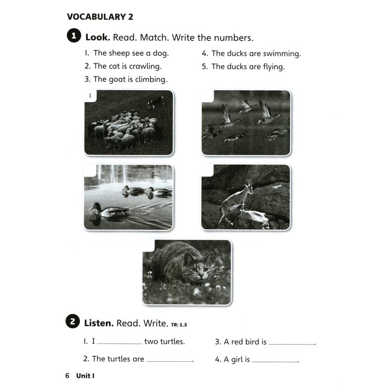 Explore Our World 2: Workbook - 2nd Edition