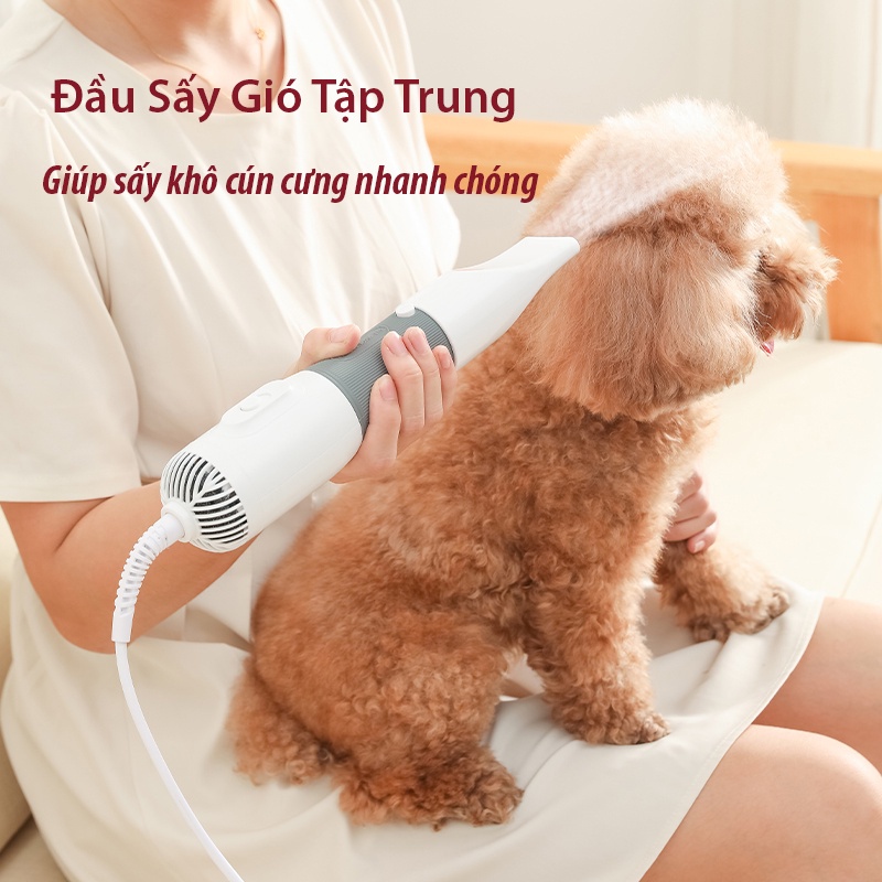 Máy sấy lông thú cưng sấy khô nhanh 3 trong 1, đa năng 600W, công suất gió lớn, máy sấy lông massage có đầu chải, có 2 đầu tóc, giao hàng nhanh tận nơi