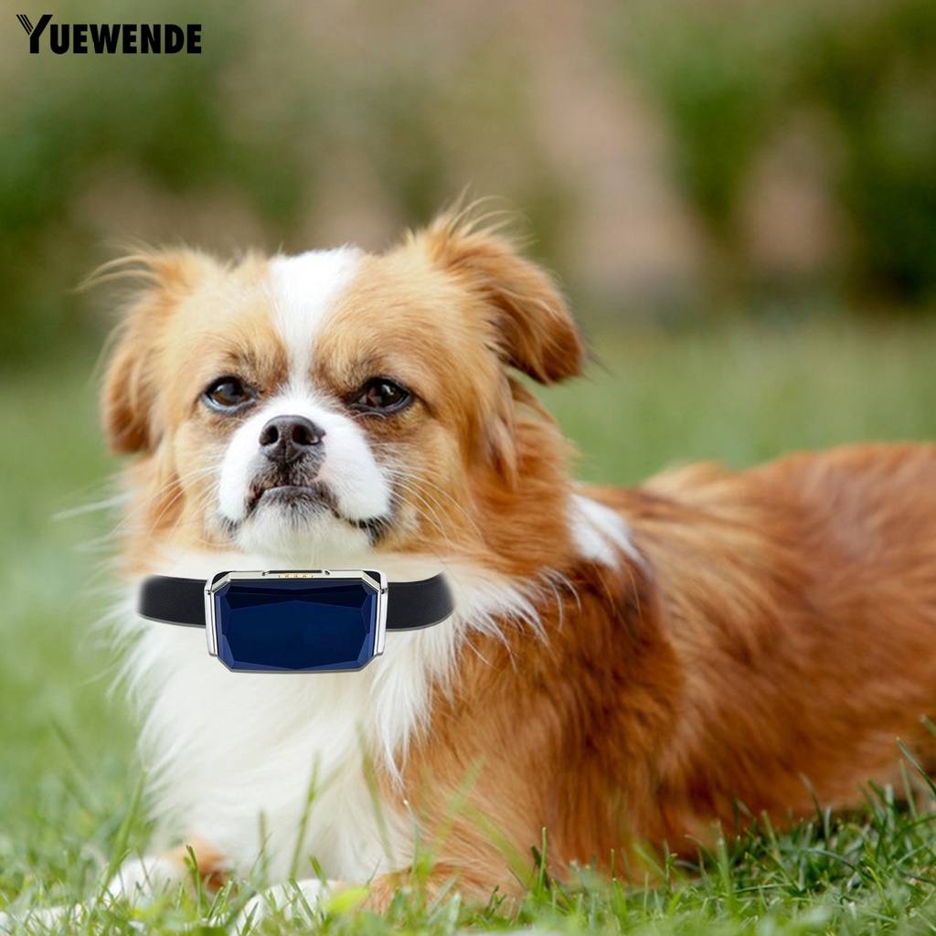 Vòng Cổ Theo Dõi Vị Trí Chống Nước IP68 Bằng Nhựa Cho Thú Cưng
