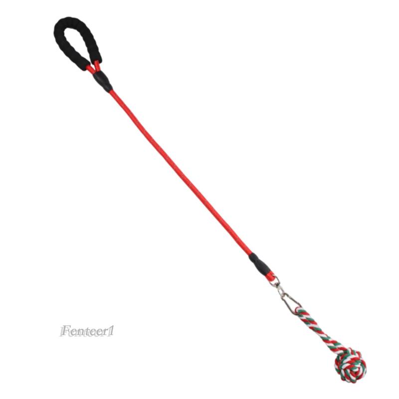 Dây Thừng Huấn Luyện Thú Cưng Trong Nhà / Ngoài Trời Tiện Dụng Fenteer1