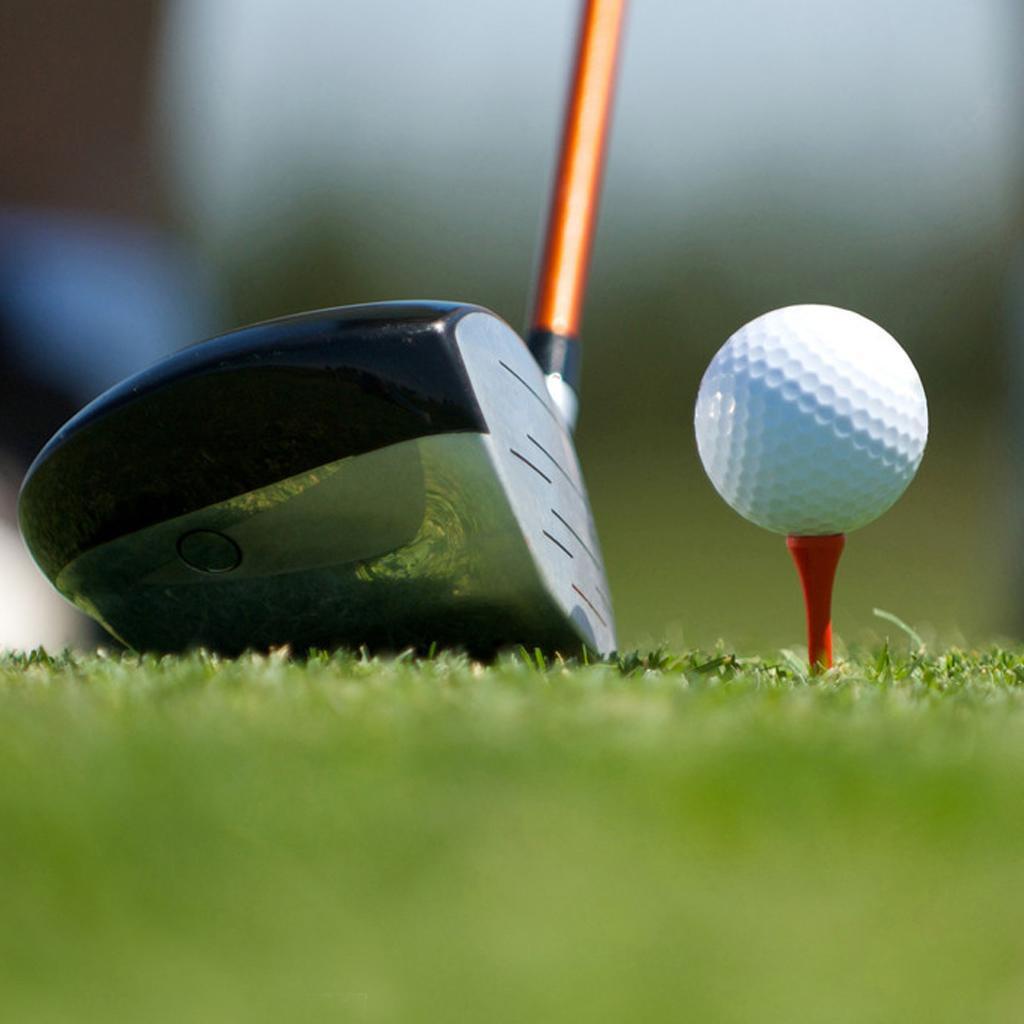 Set 200 Cái 200 Phụ Kiện Đánh Golf Bằng Gỗ Dài 83MM Nhiều Màu Sắc