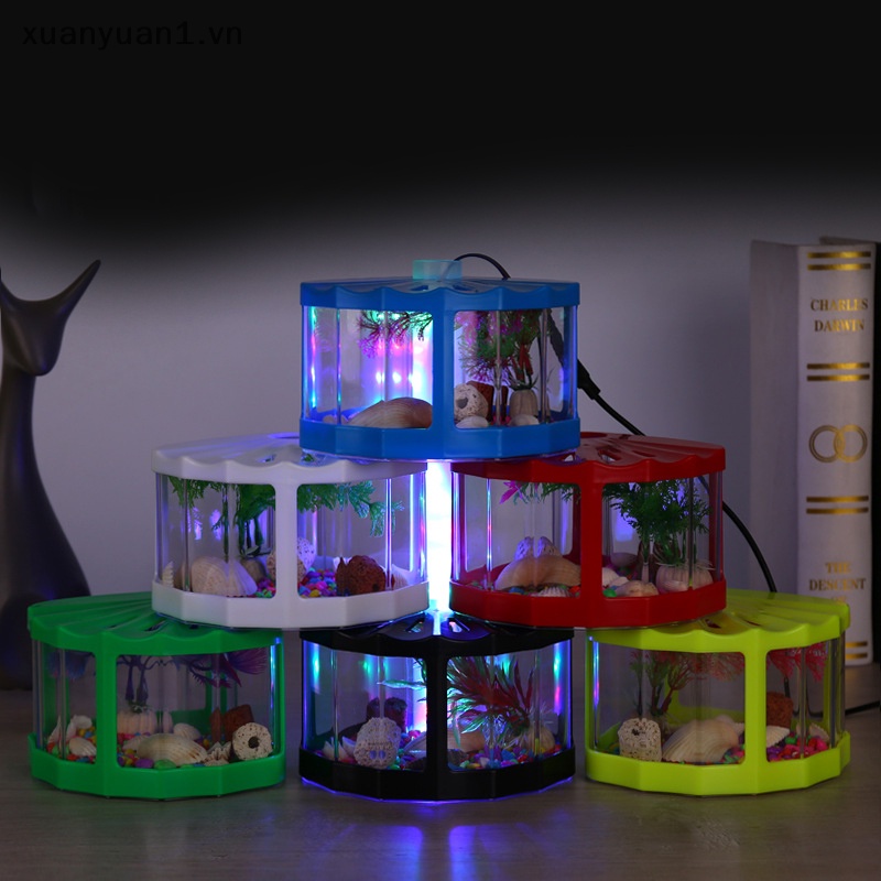 Hộp Đựng Côn Trùng Mini Trong Suốt Có Nắp Đậy Để Bàn Trang Trí Phòng Khách / Văn Phòng