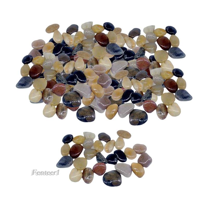 1 Cây Cảnh Ẩn Đường Đi Trang Trí Bể Cá