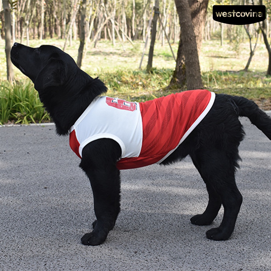 [COD]♞Áo Tank Top Thể Thao Thấm Hút Mồ Hôi Nhanh Khô Cho Thú Cưng