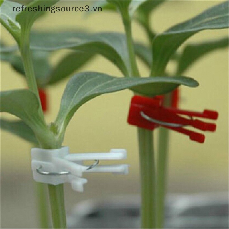 Set 100 Kẹp Bằng Nhựa Chuyên Dụng Cho Trồng Rau Củ Quả 3.vn}