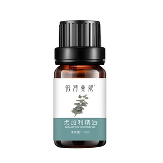 Eucalyptus Essential Oil Cleansing Pore Essential Oil Massage Essential Oil