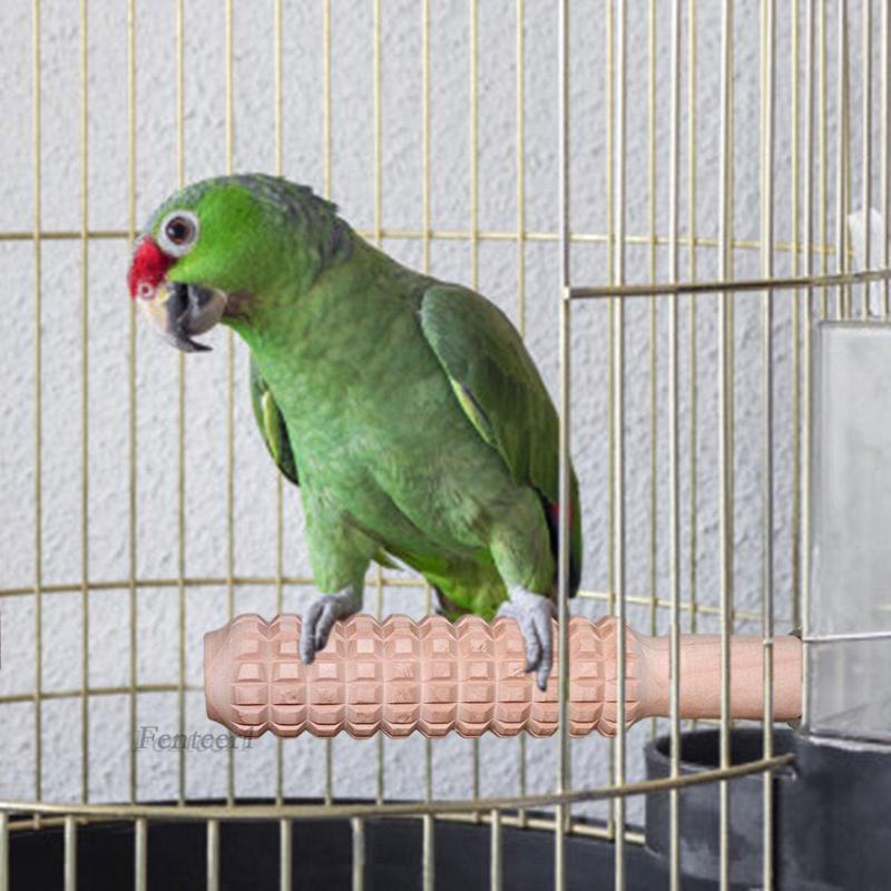 Cành Cây Leo Bằng Gỗ Đồ Chơi Cho Vẹt
