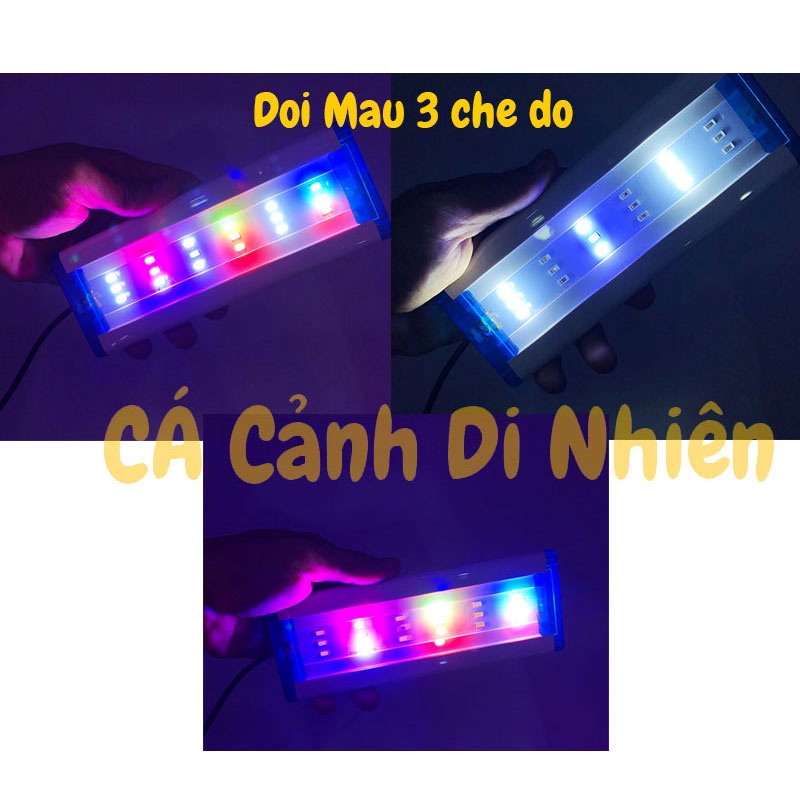 Đèn LED máng kẹp thành hồ cá 30-40 cm 9W 2 dãy màu TRẮNG - ĐỔI MÀU 24 LED P350